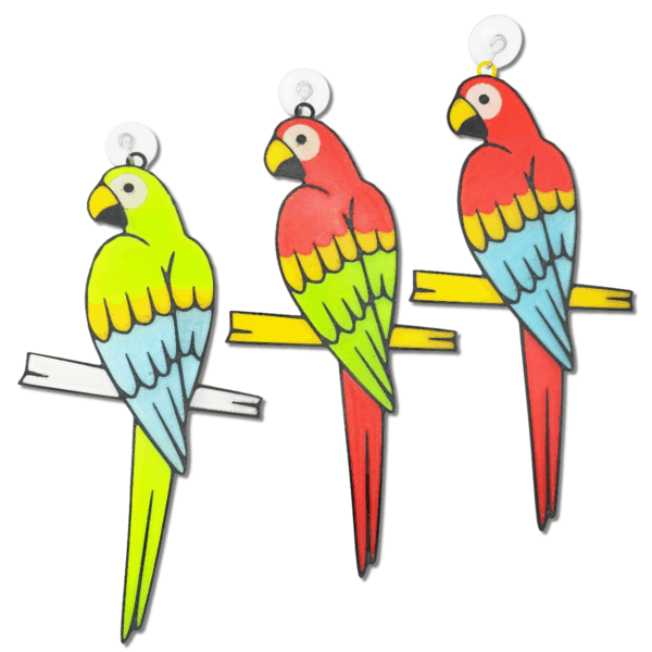 parrots